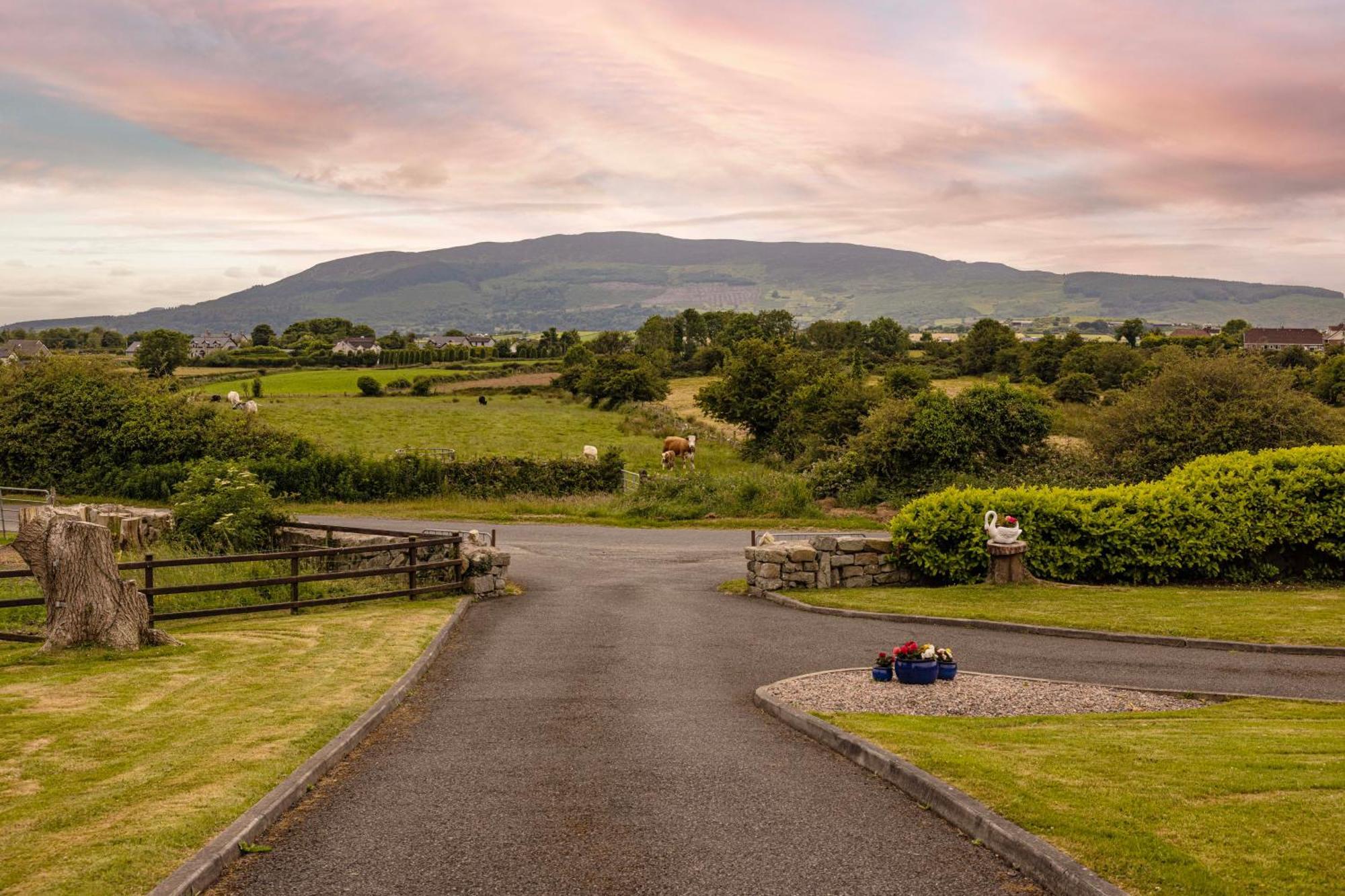 Mountain Nest At The Foot Of Slieve Gullion Daire Cloghoge Dış mekan fotoğraf